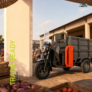 Heavy-Duty Hydraulic Shock Electric Tricycle for Cargo Transport - detail 17