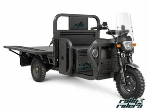 Heavy-Duty Hydraulic Shock Electric Tricycle for Cargo Transport - detail 19