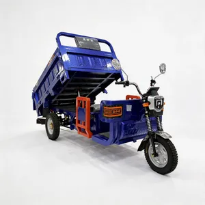 Long Battery Life Stable Operation Passenger Cargo Enclosed Electric Tricycle - detail 17
