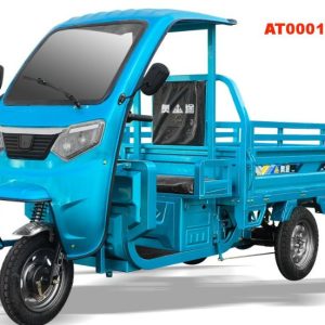 Factory Direct CE Certified Rain Shelter Cargo Tricycle Durable Heavy Load Electric Tricycle for Logistics Cargo Transport