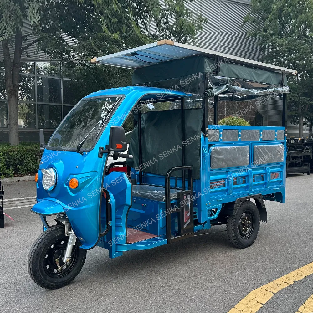 Senka China Factory 1800W 1200W Solar Panel Range Extender Seat Cabin Cargo Passenger E Motorcycle 3-Wheel Electric Powered Tricycle for Adults - detail 1