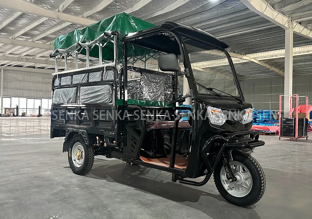 Senka China Factory 1800W 1200W Solar Panel Range Extender Seat Cabin Cargo Passenger E Motorcycle 3-Wheel Electric Powered Tricycle for Adults - detail 2