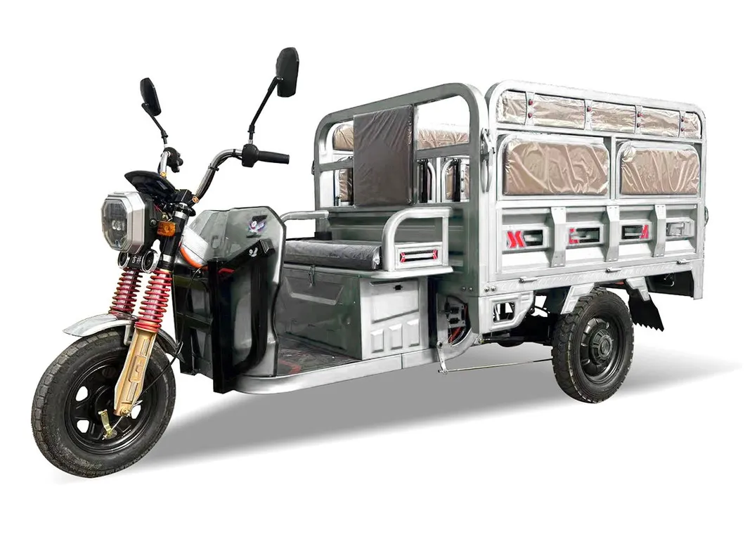 Senka China Factory 1800W 1200W Solar Panel Range Extender Seat Cabin Cargo Passenger E Motorcycle 3-Wheel Electric Powered Tricycle for Adults - detail 13