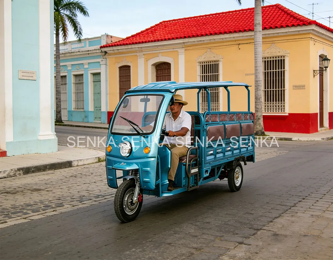 Senka China Factory 1800W 1200W Solar Panel Range Extender Seat Cabin Cargo Passenger E Motorcycle 3-Wheel Electric Powered Tricycle for Adults - detail 5