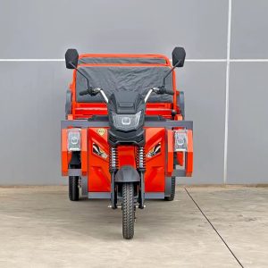 Passenger and Cargo Electric Tricycle 3 Wheel Electric Tricycle Cargo Tricycle