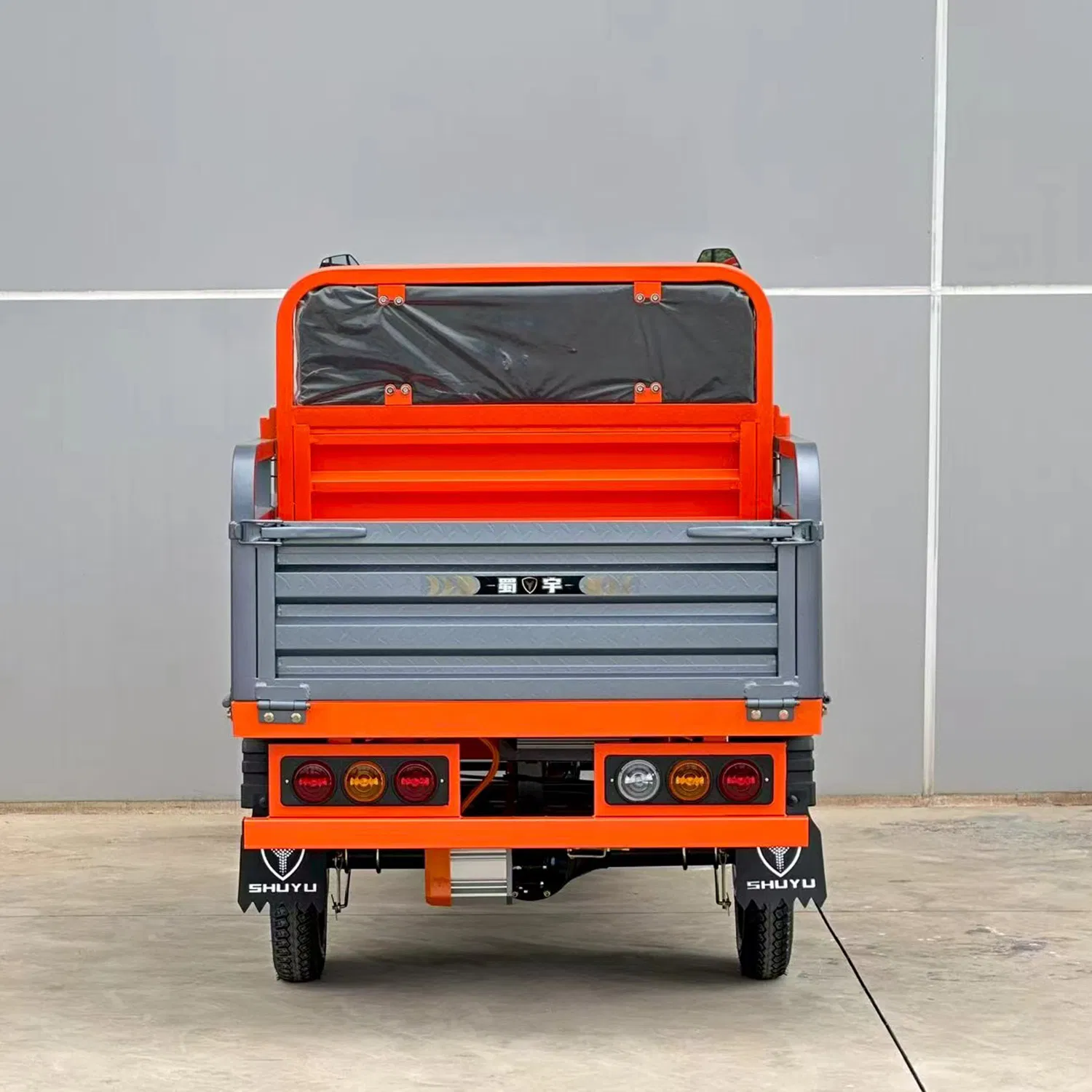 Passenger and Cargo Electric Tricycle 3 Wheel Electric Tricycle Cargo Tricycle - Image 5
