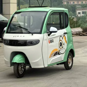 Passenger and Cargo Electric Tricycle 3 Wheel Electric Tricycle Cargo Tricycle - detail 16
