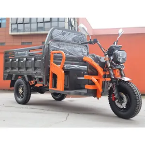 Passenger and Cargo Electric Tricycle 3 Wheel Electric Tricycle Cargo Tricycle - detail 20
