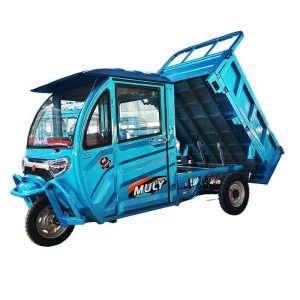 Farm Carry Good Hill Climbing Ability Electric Tricycle Cheaper Cargo Truck with Hydraulic Self Dump Tipping Bucket Dumptruck