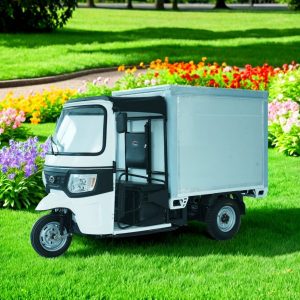 New Electric Tricycle for Adult Food-Delivery Cargo Tricycle Commercial-Express-Delivery Motorcycle