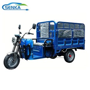 Senka Cuba Market Adult New Cargo Passenger 1800W Motor Lithium Battery Lead-Acid Battery Cheap 3-Wheel Electric Tricycle with Solar Panel