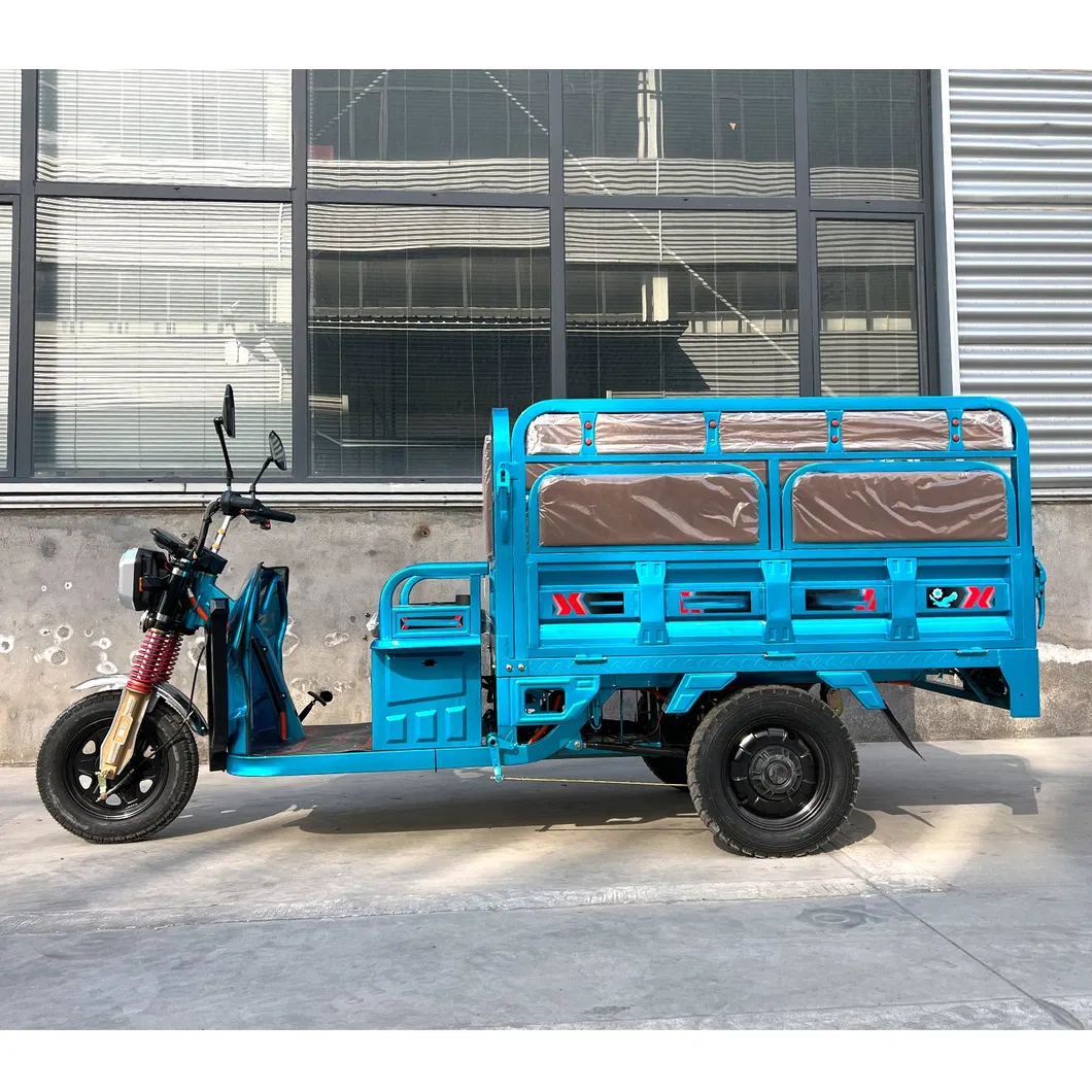Senka Cuba Market Adult New Cargo Passenger 1800W Motor Lithium Battery Lead-Acid Battery Cheap 3-Wheel Electric Tricycle with Solar Panel - detail 5