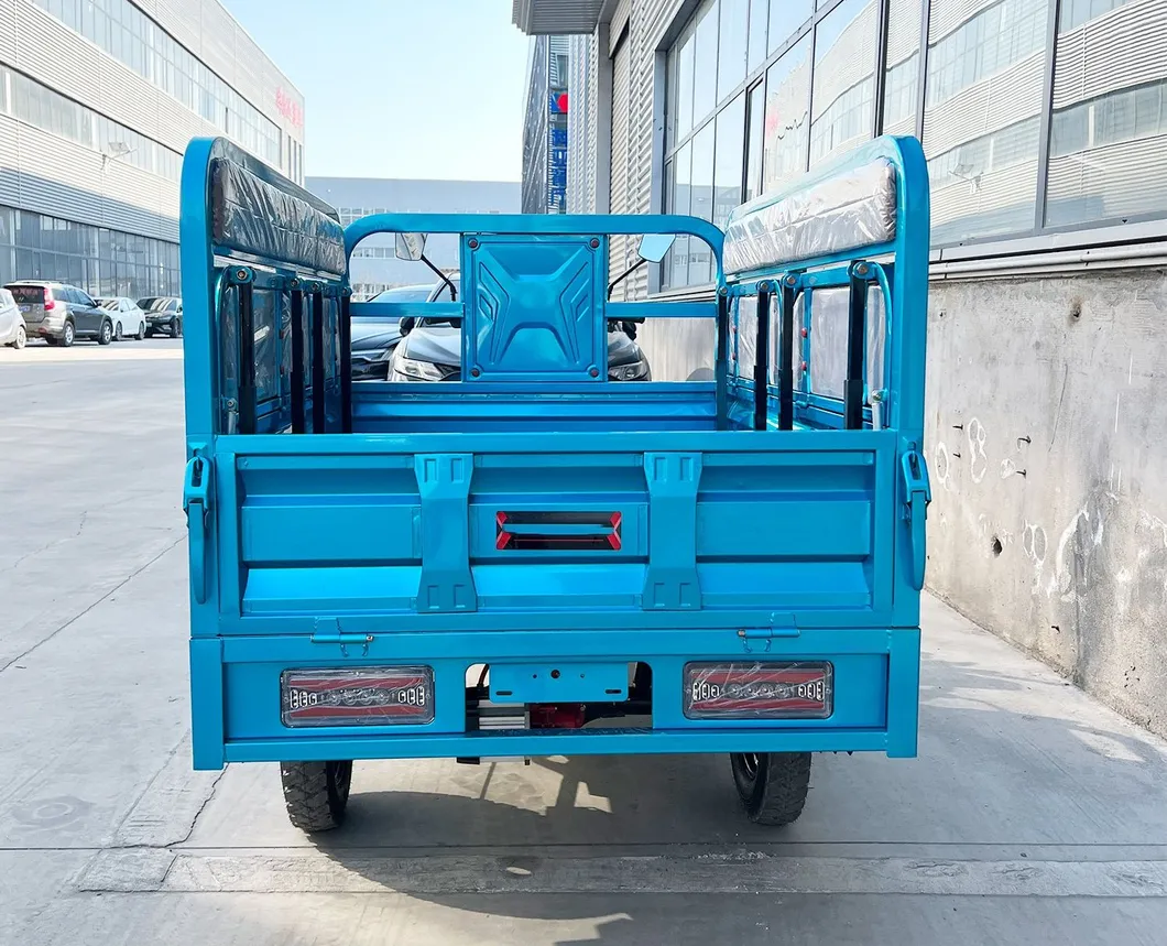 Senka Cuba Market Adult New Cargo Passenger 1800W Motor Lithium Battery Lead-Acid Battery Cheap 3-Wheel Electric Tricycle with Solar Panel - detail 7