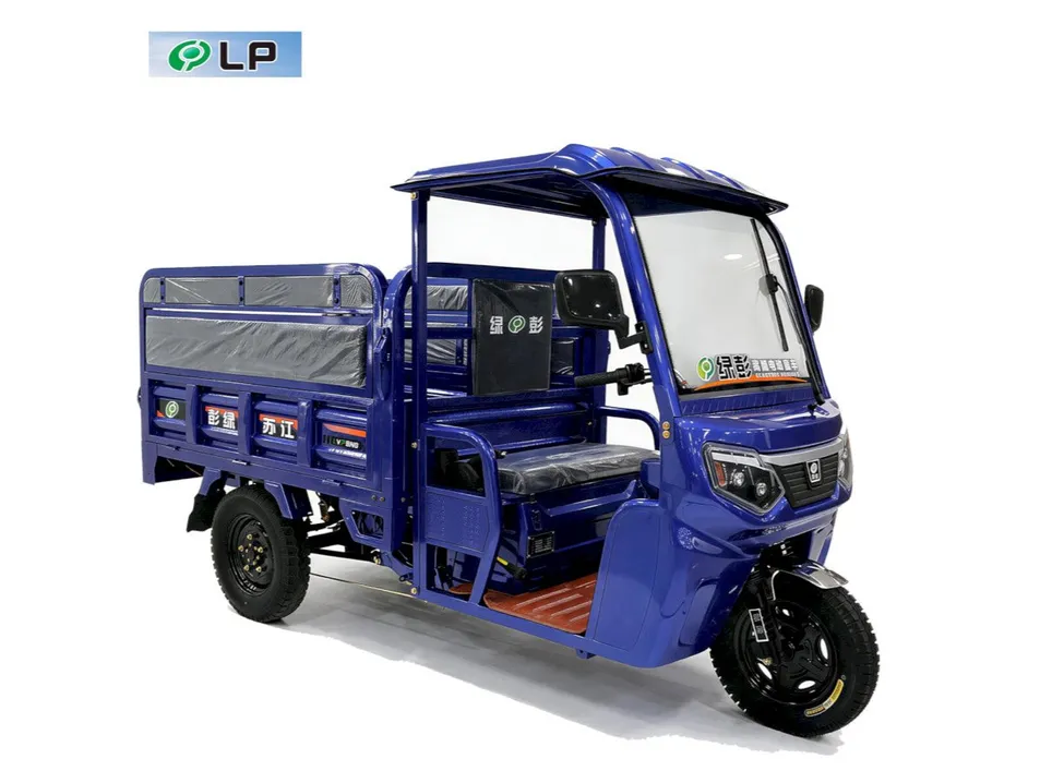 Anti Slip Cold Rolled Steel Passenger Cargo Long-Range Enclosed Electric Tricycle - detail 6