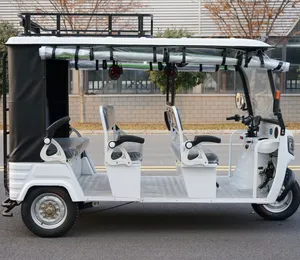 Three Wheel Vehicle, Electric Tricycle for Cargo Delivery - detail 19