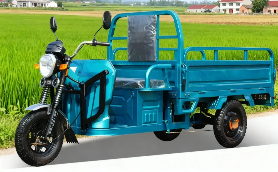 Three Wheel Vehicle, Electric Tricycle for Cargo Delivery - detail 5