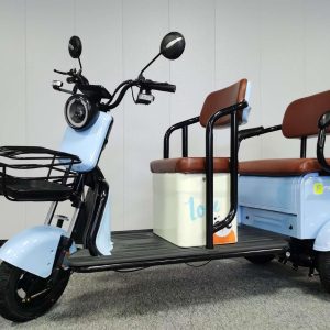 Blue Stylish 350W Electric Tricycle for Passenger & Cargo Use