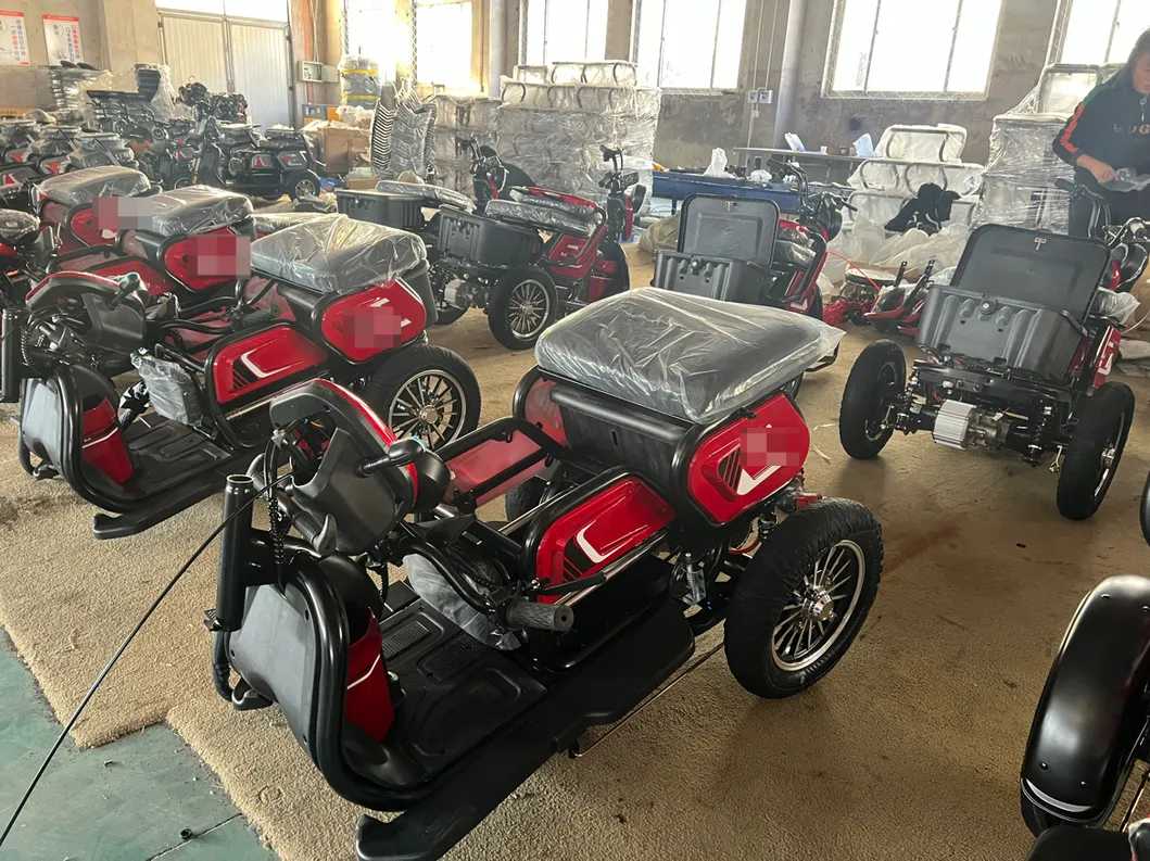 Blue Stylish 350W Electric Tricycle for Passenger & Cargo Use - detail 11