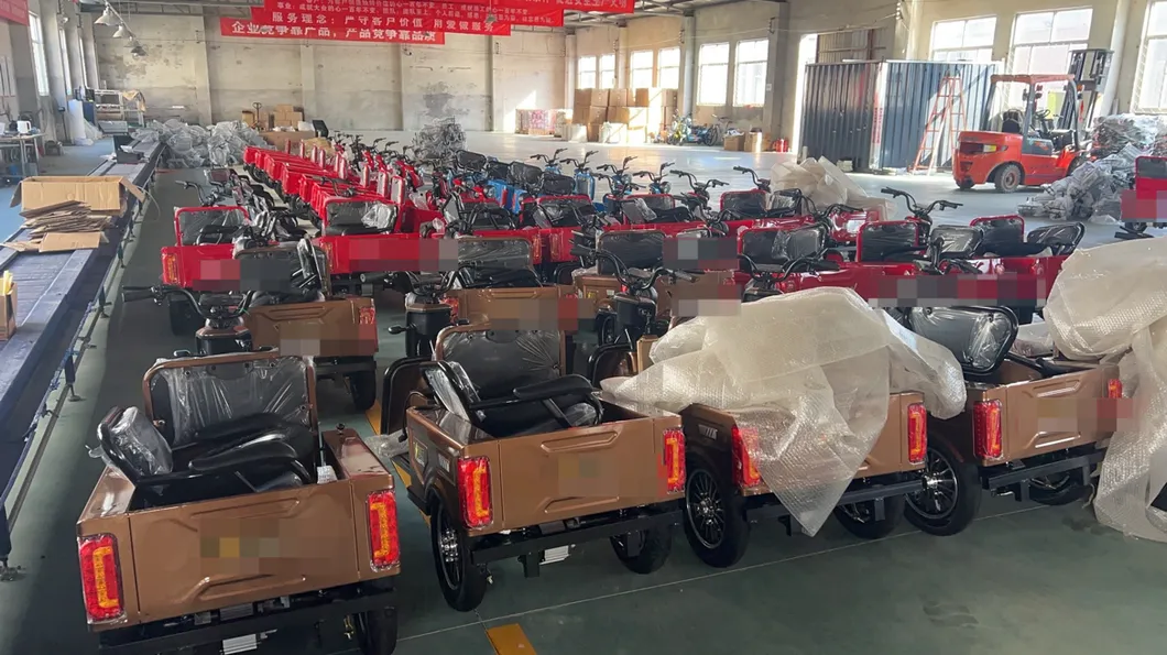 Blue Stylish 350W Electric Tricycle for Passenger & Cargo Use - detail 12