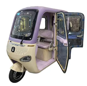 Blue Stylish 350W Electric Tricycle for Passenger & Cargo Use - detail 18