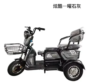 Blue Stylish 350W Electric Tricycle for Passenger & Cargo Use - detail 19