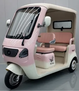 Blue Stylish 350W Electric Tricycle for Passenger & Cargo Use - detail 20
