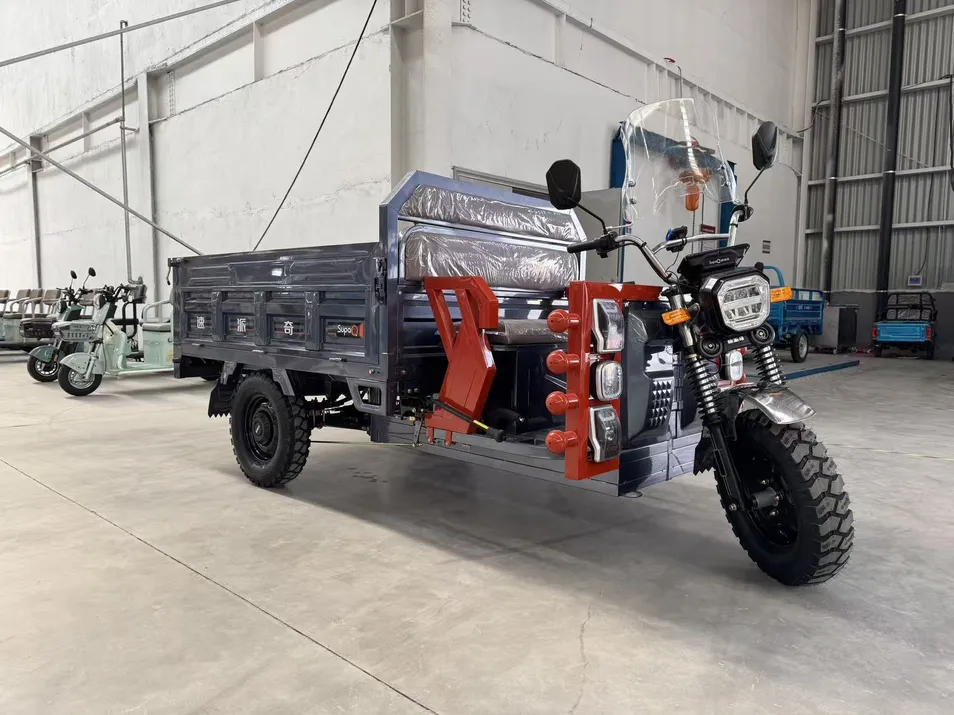 Heavy Duty Cargo Electric Tricycle Engineering Agricultural Cargo Tricycle High Powered Cargo Three Wheeled Motorcycle - detail 4