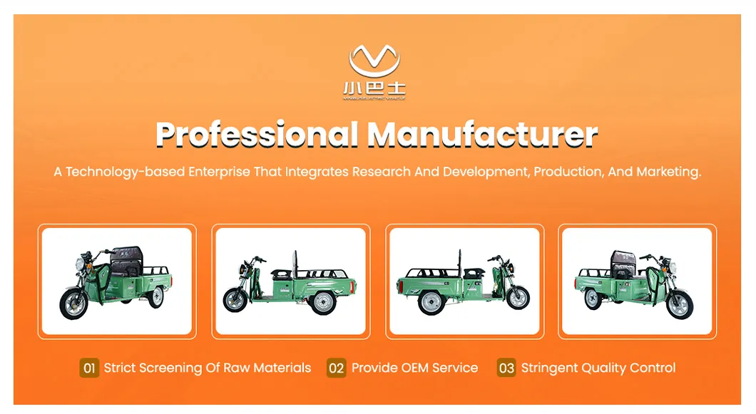 60V Electric Cargo Trike with Removable Rain Cover and Safety Wipers Electric Vehicle Tricycle - detail 1