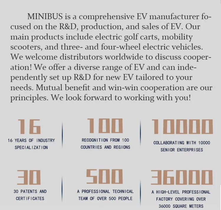 60V Electric Cargo Trike with Removable Rain Cover and Safety Wipers Electric Vehicle Tricycle - detail 11
