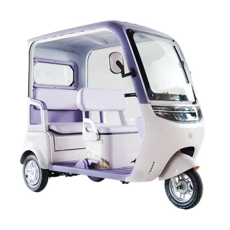 60V Electric Cargo Trike with Removable Rain Cover and Safety Wipers Electric Vehicle Tricycle - detail 4