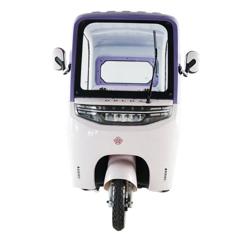 60V Electric Cargo Trike with Removable Rain Cover and Safety Wipers Electric Vehicle Tricycle - detail 6