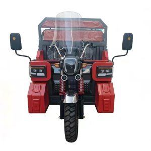Electric Tricycle Cargo Truck Motorcycle Electric New 4000W Motor for Sale Electric Cargo Adult Bike Tricycle 3 Wheel for Cargo