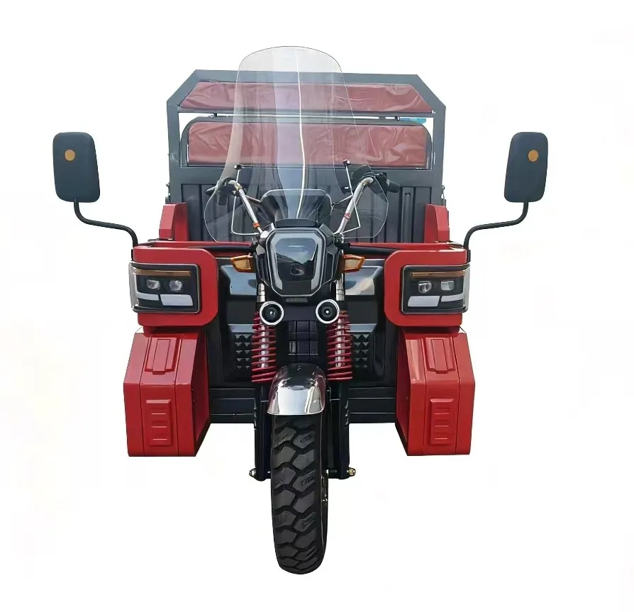 Electric Tricycle Cargo Truck Motorcycle Electric New 4000W Motor for Sale Electric Cargo Adult Bike Tricycle 3 Wheel for Cargo - detail 2