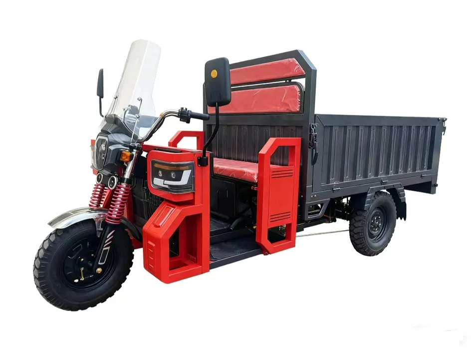 Electric Tricycle Cargo Truck Motorcycle Electric New 4000W Motor for Sale Electric Cargo Adult Bike Tricycle 3 Wheel for Cargo - detail 3