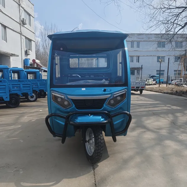 Electric Cargo Tricycle with Roof for Middle East Delivery Service - detail 2