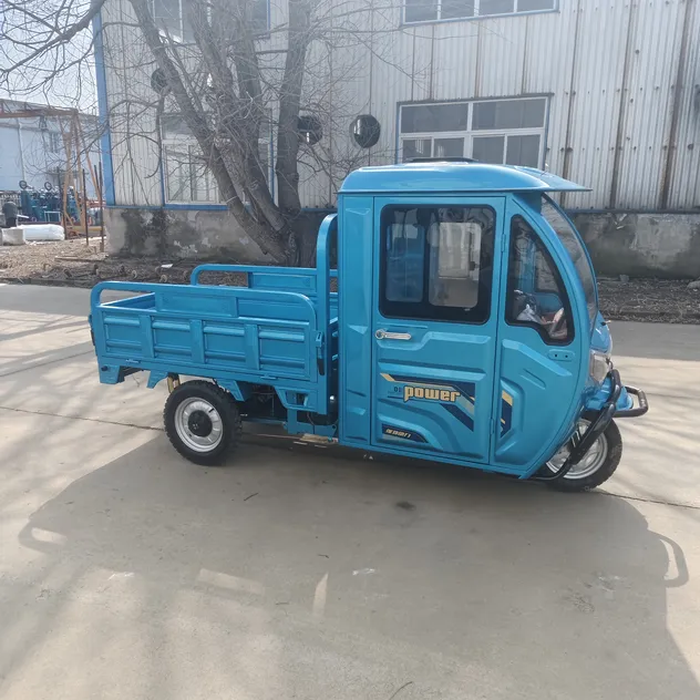 Electric Cargo Tricycle with Roof for Middle East Delivery Service - detail 3