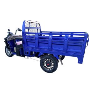 Tuk Tuk 1500W Psm Motor Electric Motorcycle Cargo Trike Tricycle