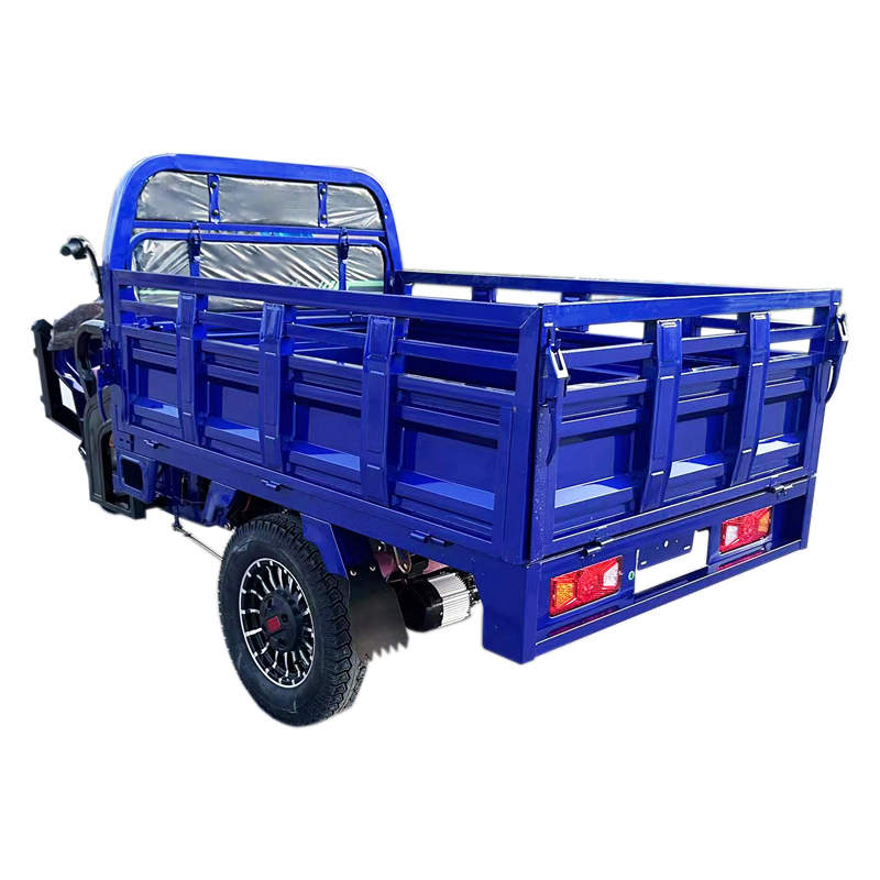 Tuk Tuk 1500W Psm Motor Electric Motorcycle Cargo Trike Tricycle - Image 3