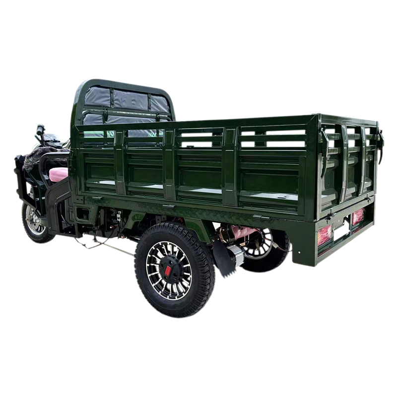 Tuk Tuk 1500W Psm Motor Electric Motorcycle Cargo Trike Tricycle - Image 4