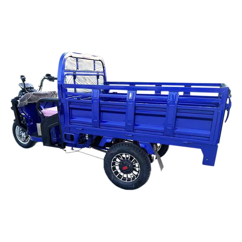 Tuk Tuk 1500W Psm Motor Electric Motorcycle Cargo Trike Tricycle - detail 1