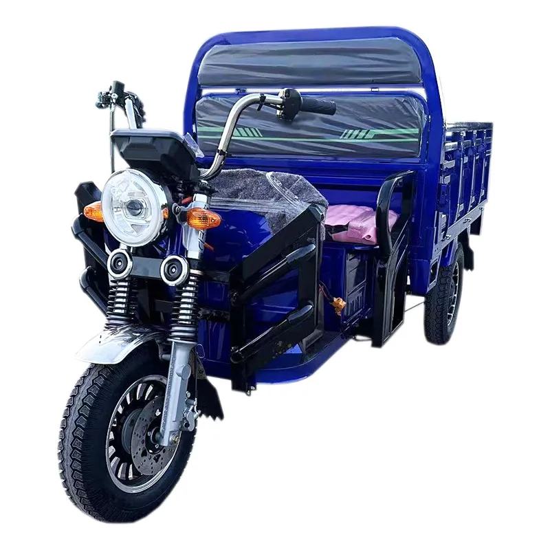 Tuk Tuk 1500W Psm Motor Electric Motorcycle Cargo Trike Tricycle - detail 2