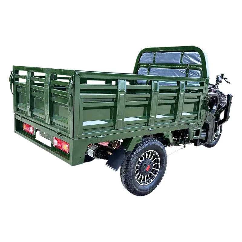 Tuk Tuk 1500W Psm Motor Electric Motorcycle Cargo Trike Tricycle - detail 11