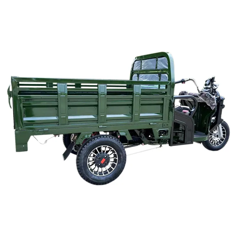 Tuk Tuk 1500W Psm Motor Electric Motorcycle Cargo Trike Tricycle - detail 12
