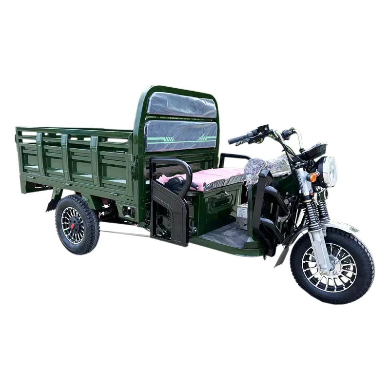 Tuk Tuk 1500W Psm Motor Electric Motorcycle Cargo Trike Tricycle - detail 13