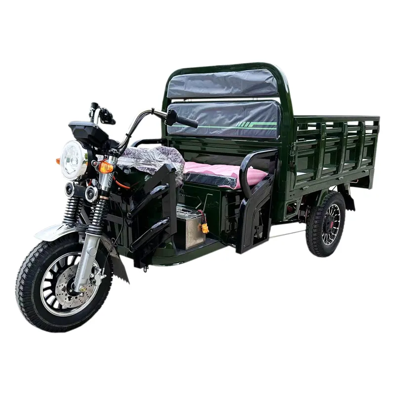 Tuk Tuk 1500W Psm Motor Electric Motorcycle Cargo Trike Tricycle - detail 15