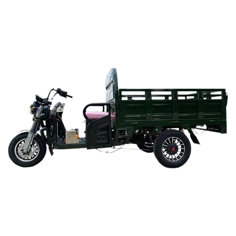 Tuk Tuk 1500W Psm Motor Electric Motorcycle Cargo Trike Tricycle - detail 16