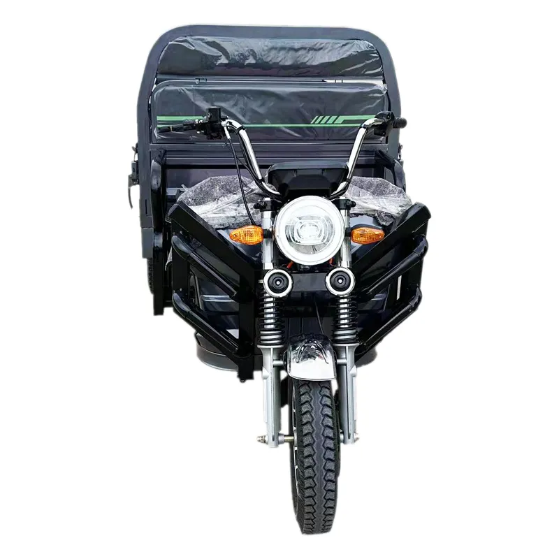 Tuk Tuk 1500W Psm Motor Electric Motorcycle Cargo Trike Tricycle - detail 17