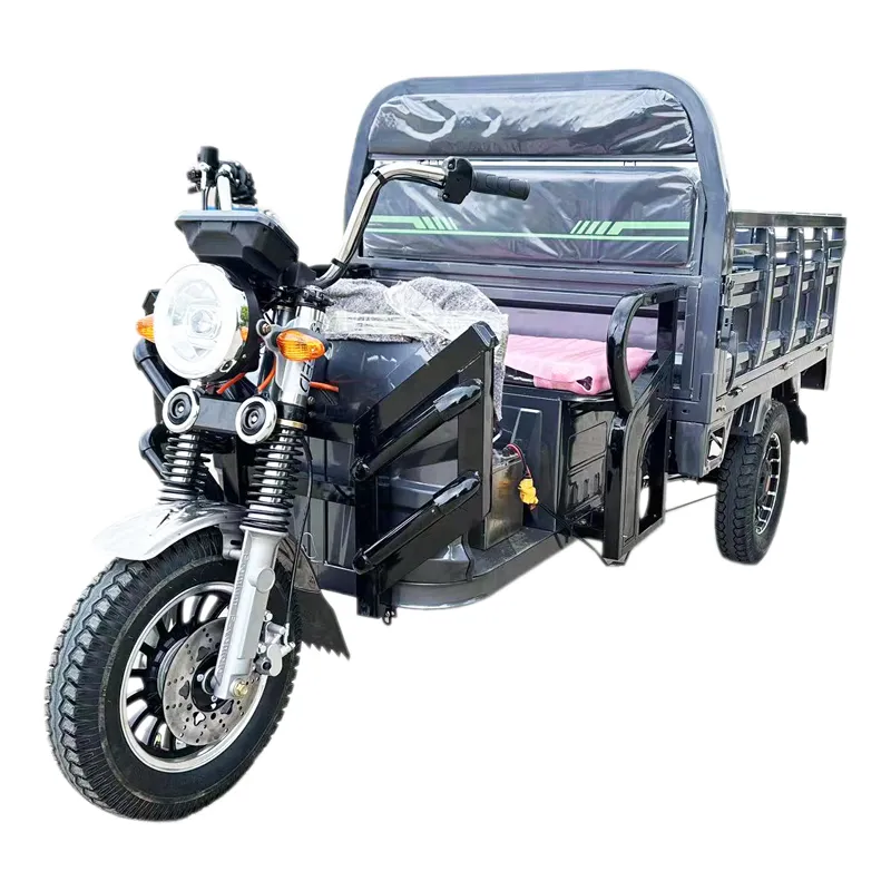 Tuk Tuk 1500W Psm Motor Electric Motorcycle Cargo Trike Tricycle - detail 18