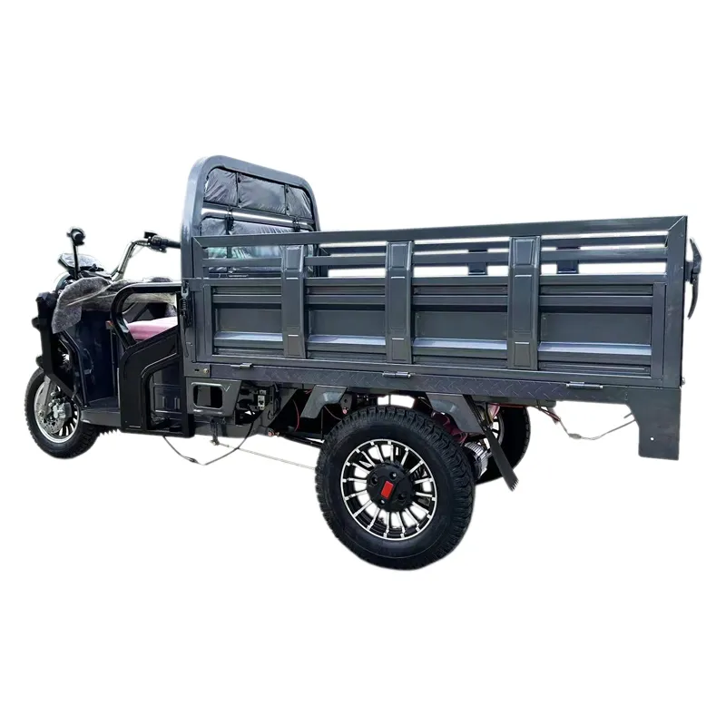 Tuk Tuk 1500W Psm Motor Electric Motorcycle Cargo Trike Tricycle - detail 19
