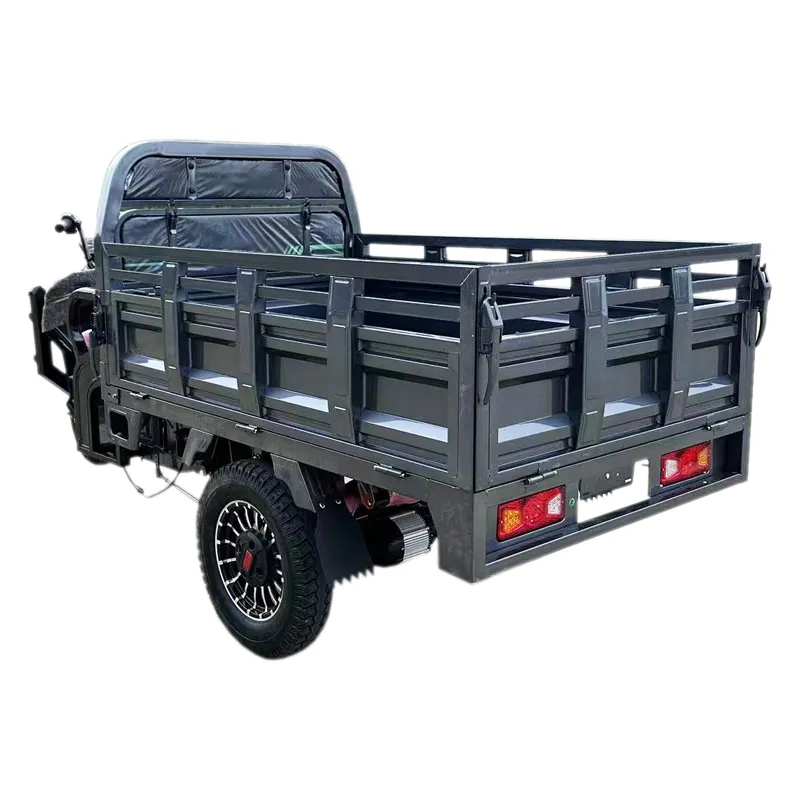 Tuk Tuk 1500W Psm Motor Electric Motorcycle Cargo Trike Tricycle - detail 20